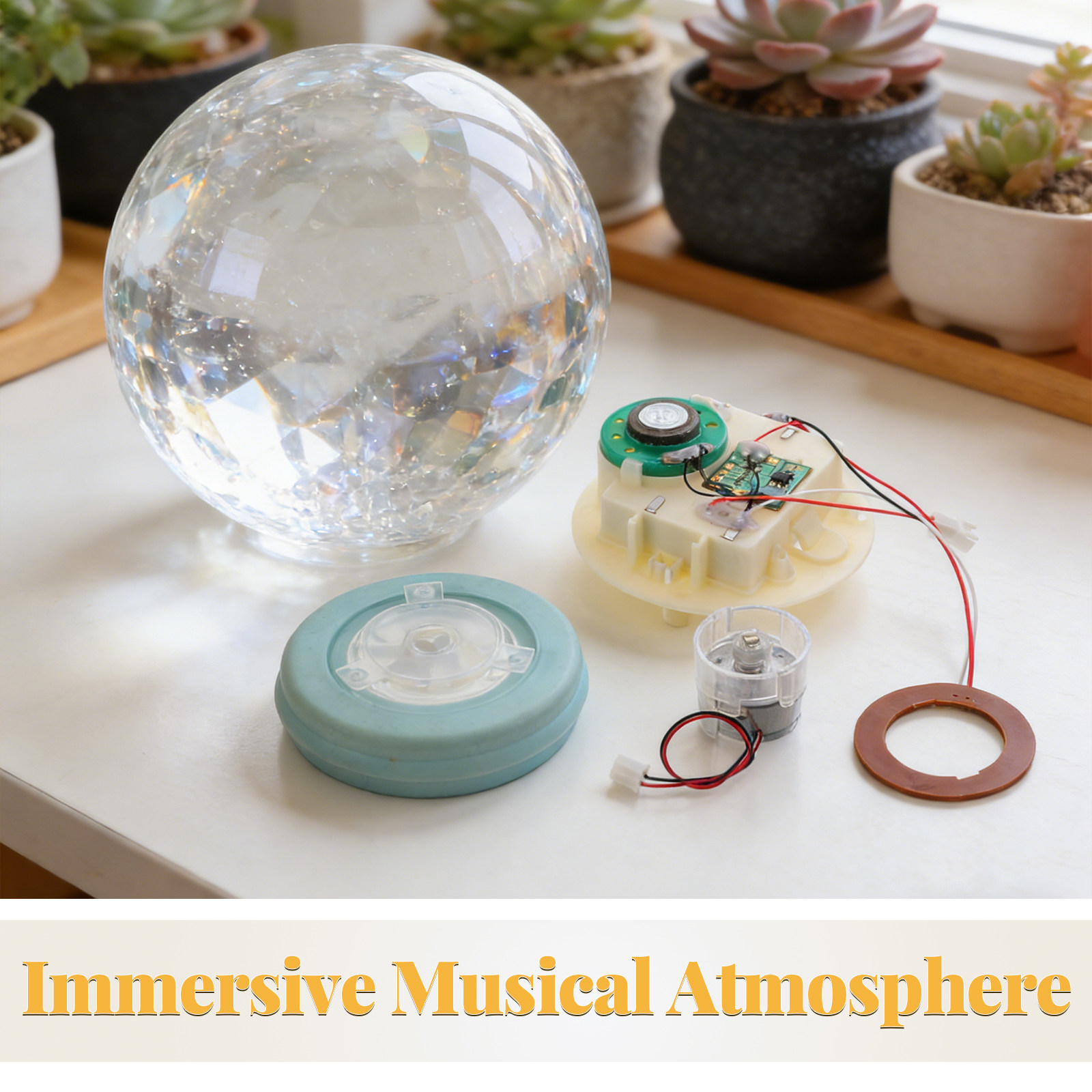 Snow Globe Movement with Music - Snow Globe Musical 评论和价格