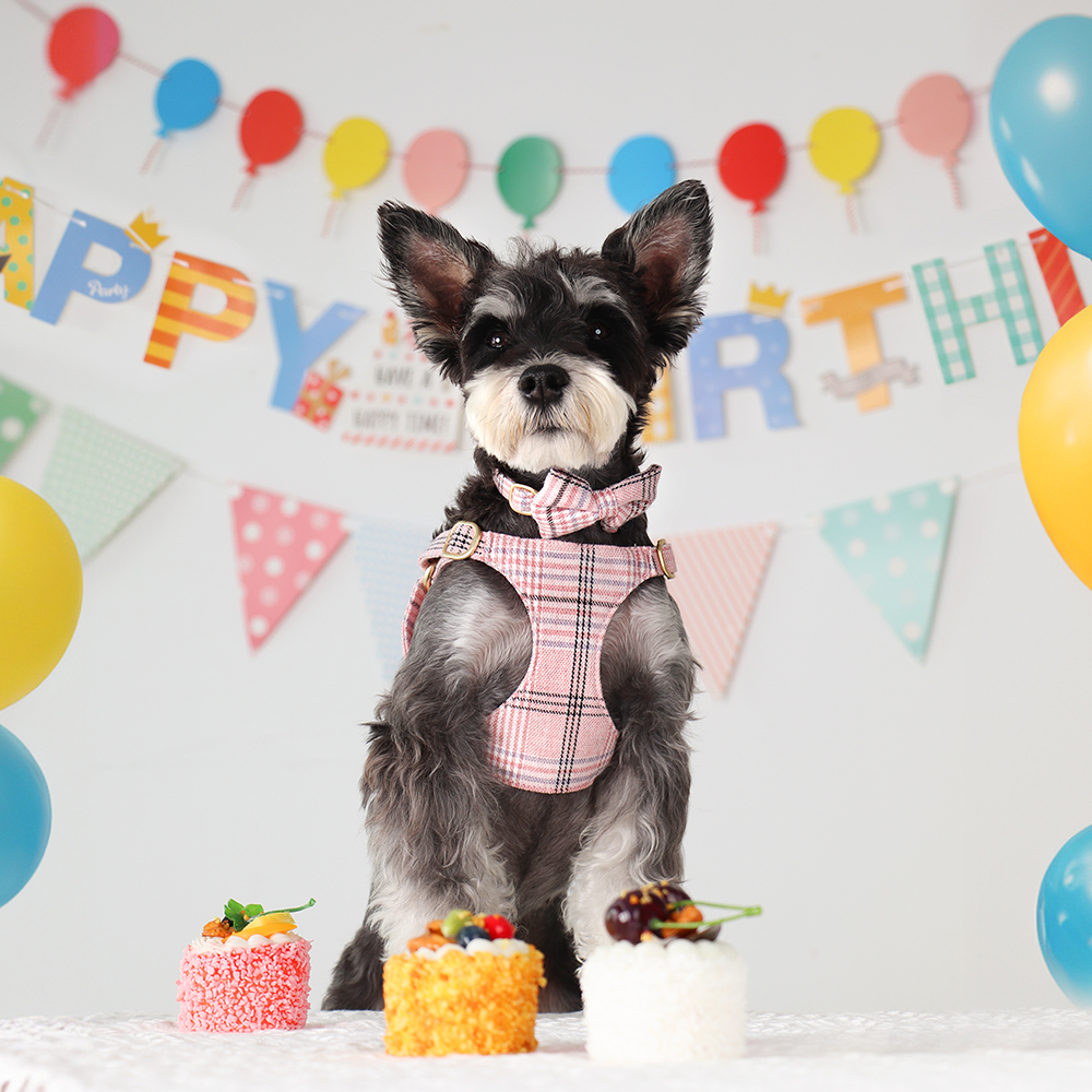 3pcs/set Dog Collar Harness le - Christmas Throw Blanket 评论和价格